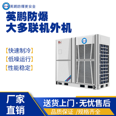 上海工业用防爆大多联机外机YPHB-65EX(560WS)