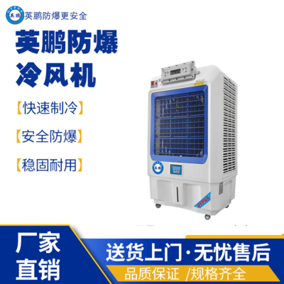 南京工业用防爆冷风机 YPHB-10EX