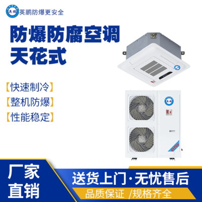 广东揭阳发电站行业用防爆防腐空调-天花式BFKG-12FT/5匹